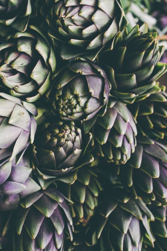 The power of antioxidants - Dr Botanicals