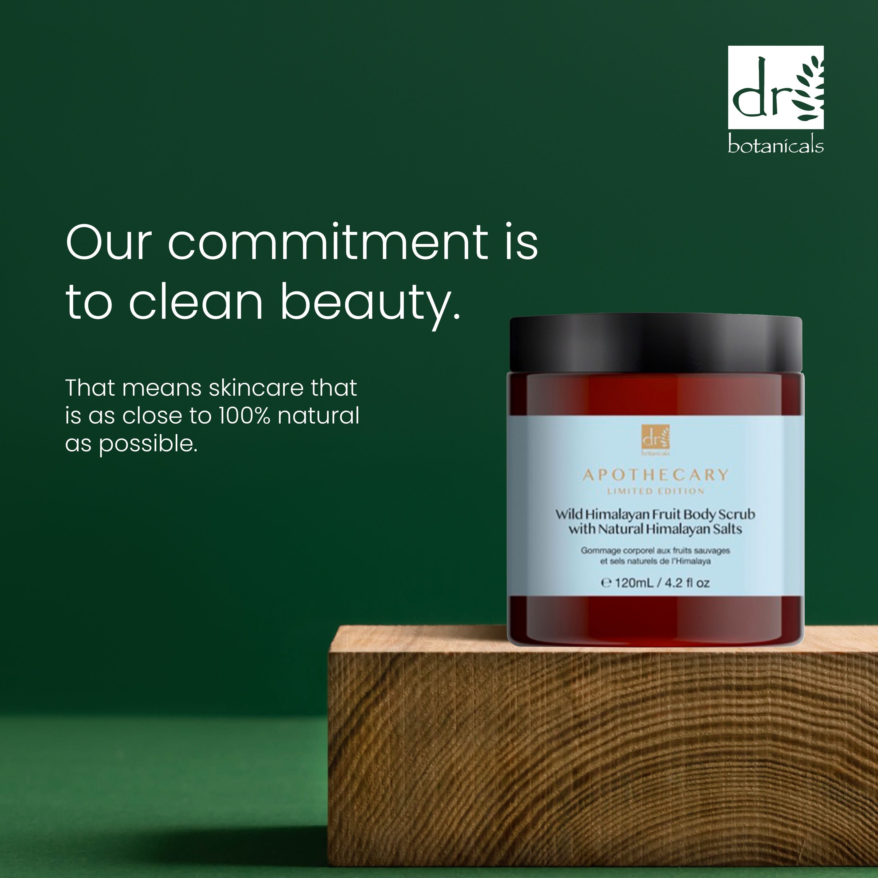 Pack économique double de 120 ml de gommage corporel aux fruits sauvages de l'Himalaya avec sels naturels de l'Himalaya Dr Botanicals