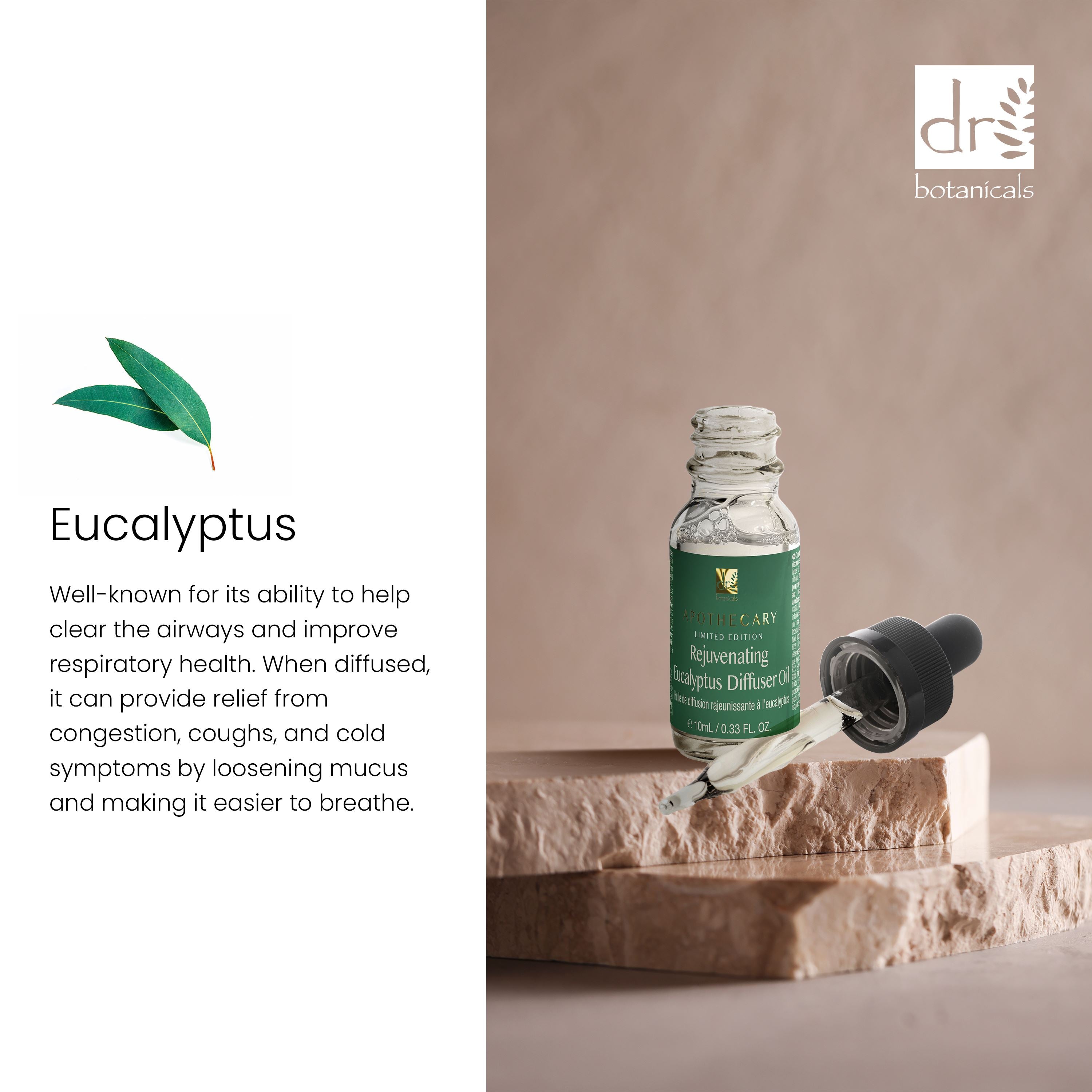 Dr Botanicals Premium 5 In 1 Aromatherapy Rejuvenating Eucalyptus Diffuser Kit